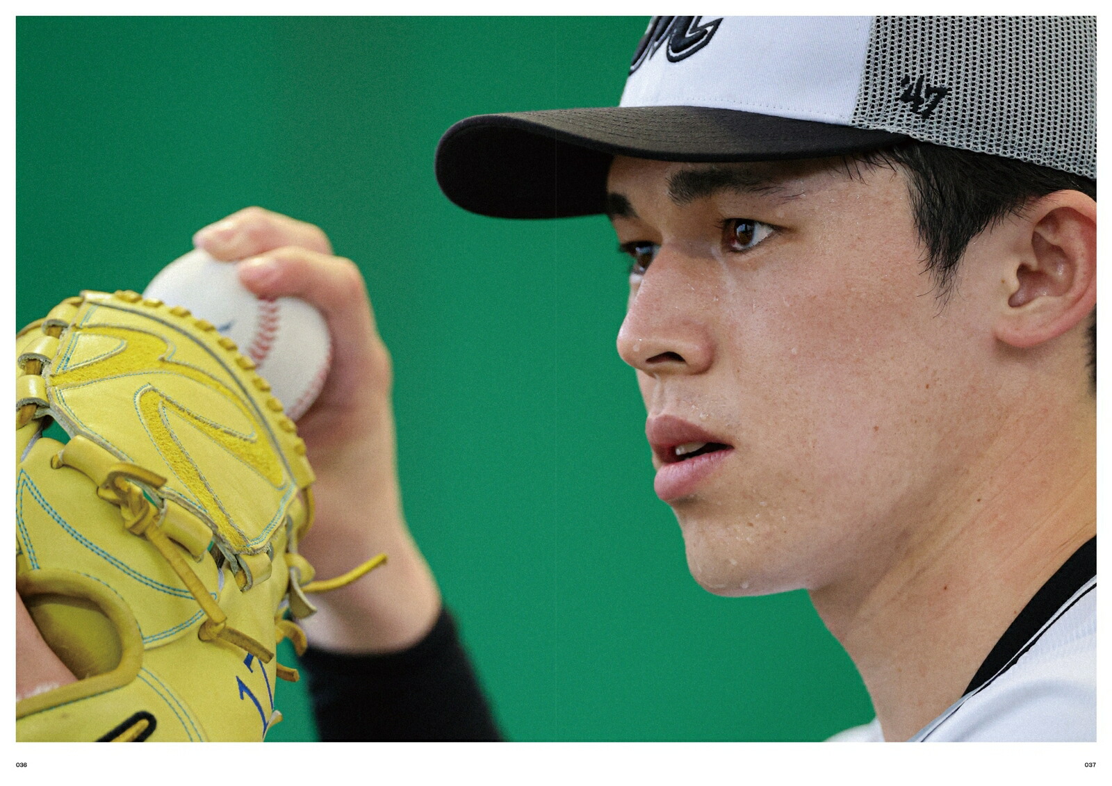 ���ե��åƥޥ꡼�󥺥��ե�����륤�䡼�֥å�2024[303BOOKS]