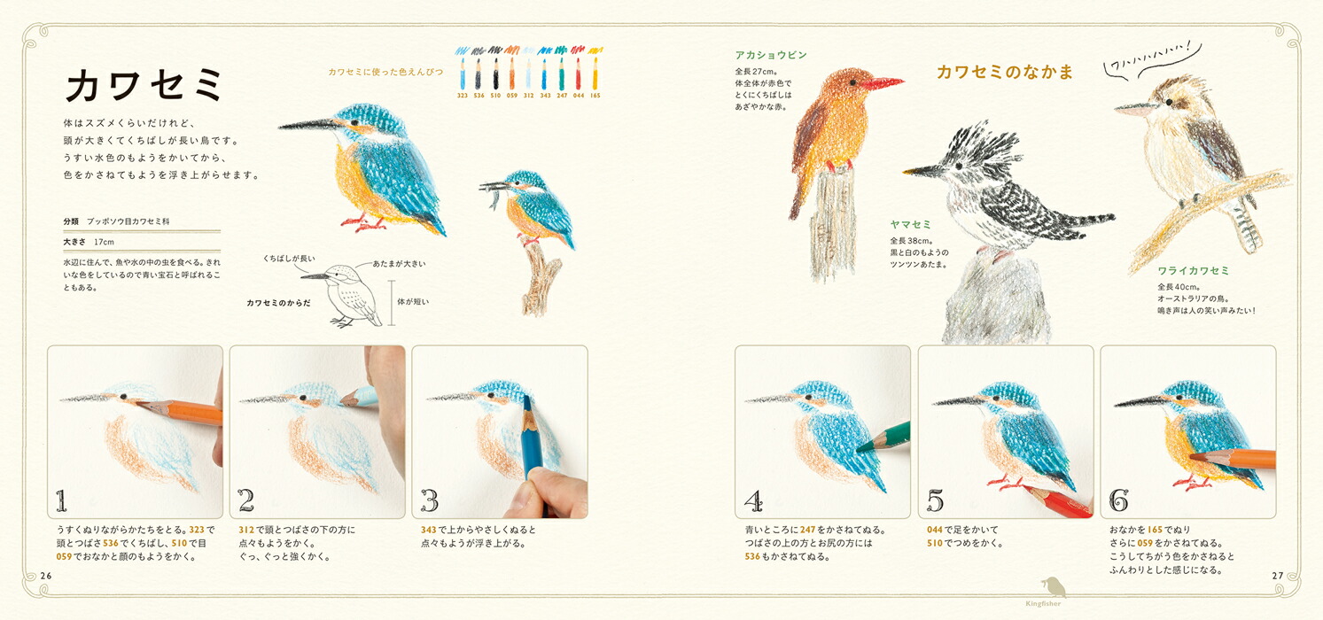 楽天ブックス 色えんぴつでかわいい鳥たち 秋草愛 本