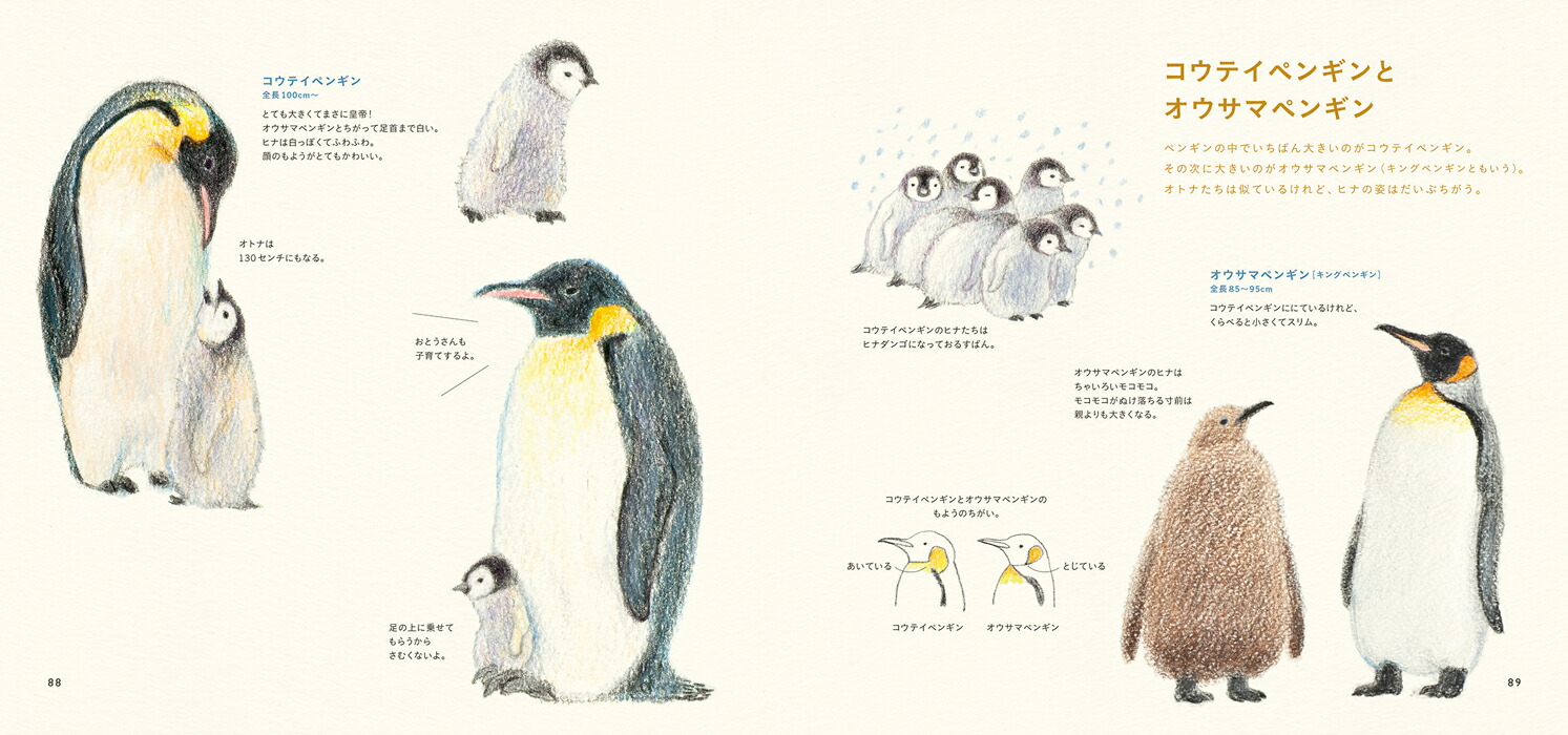 ������ԤĤǤ��襤��Ļ�����ʤϤ���Ƥ�Lesson��[����]