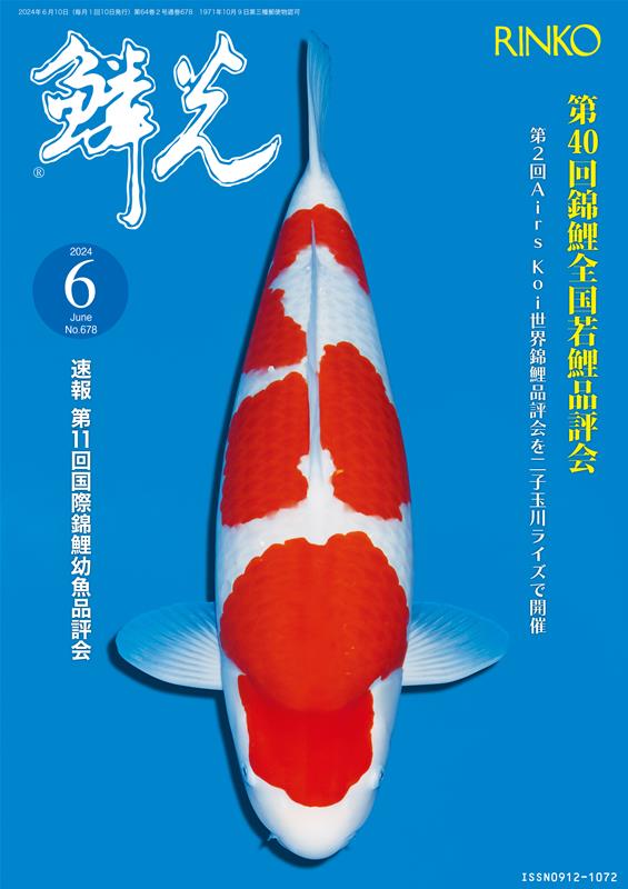 錦鯉6 錦鯉6