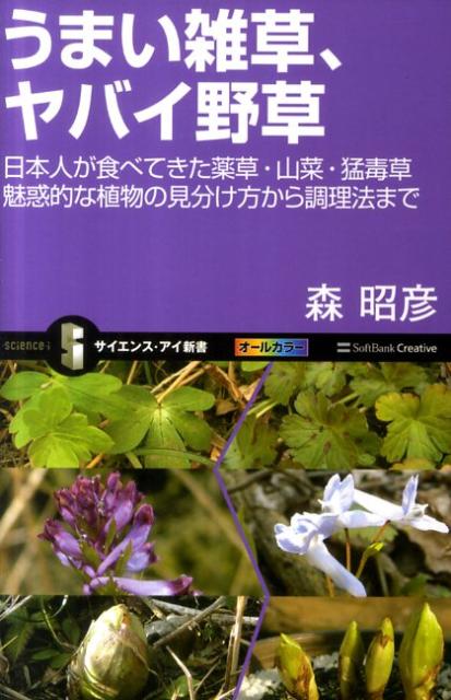 楽天ブックス うまい雑草 ヤバイ野草 日本人が食べてきた薬草 山菜 猛毒草魅惑的な植物の 森昭彦 本