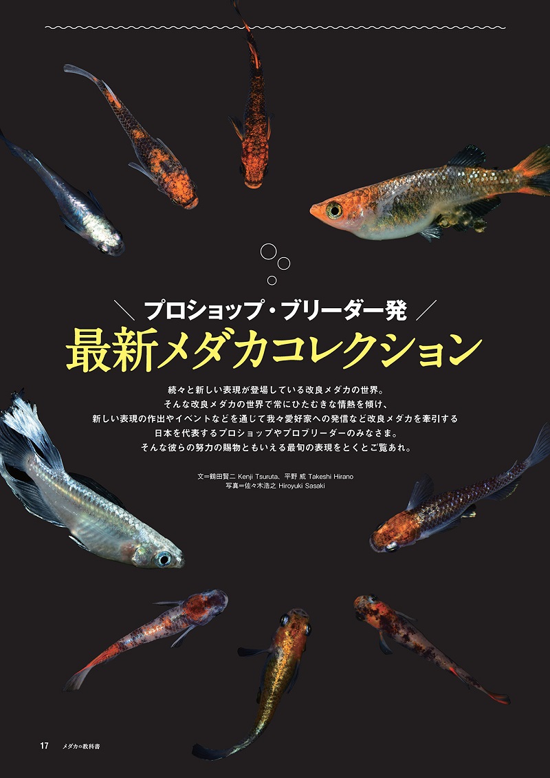 楽天ブックス 最新改良品種のすべてがわかる メダカの教科書 Vol 2 本