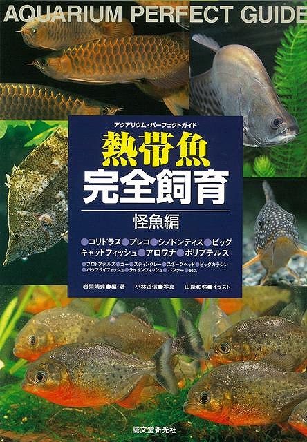 楽天ブックス バーゲン本 熱帯魚完全飼育 怪魚編 岩間 靖典 本