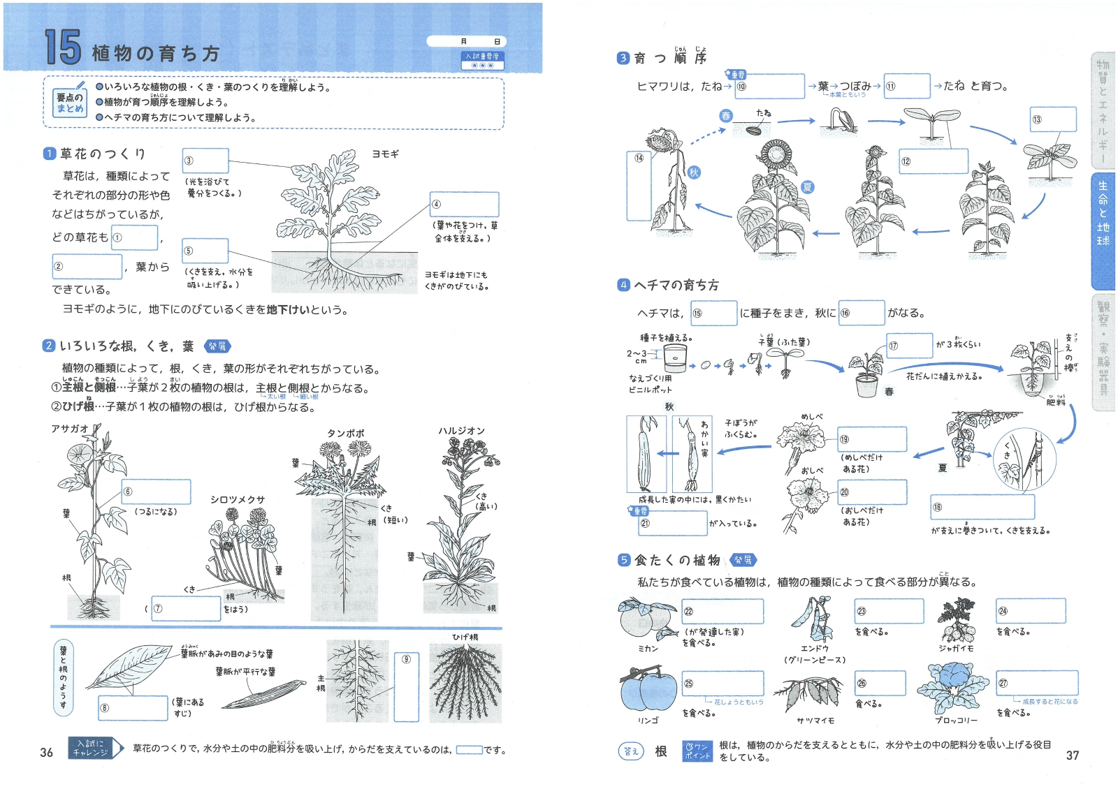 楽天ブックス 小学 まとめノート 図解理科 総合学習指導研究会 本