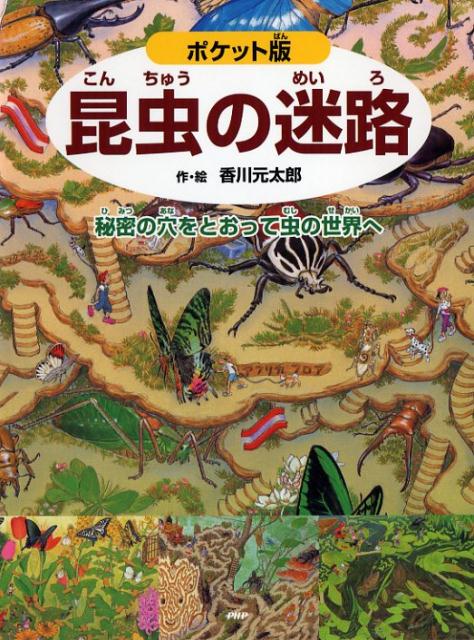 楽天ブックス ポケット版 昆虫の迷路 秘密の穴をとおって虫の世界へ 香川元太郎 本