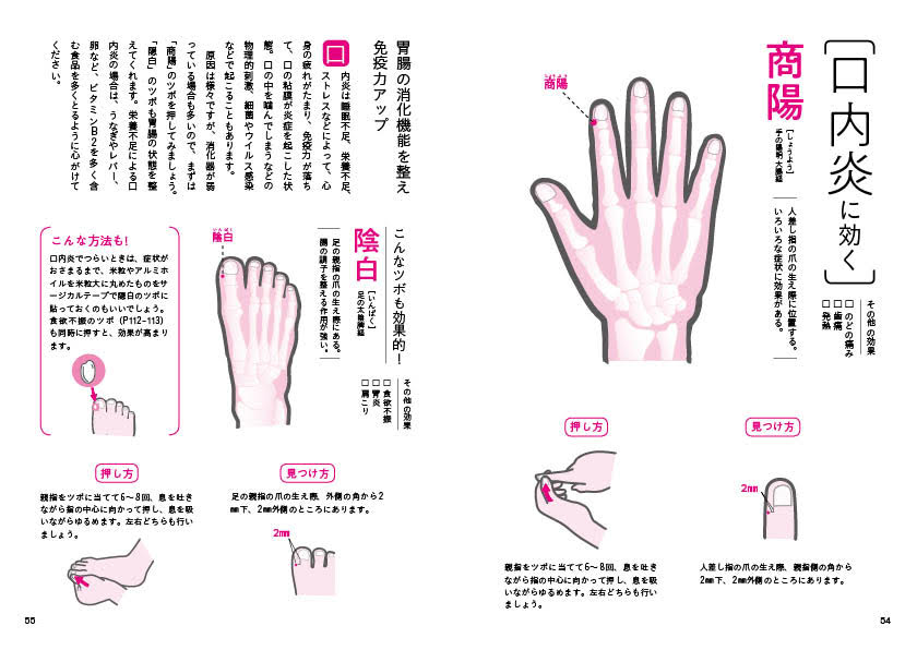 楽天ブックス 体が整うツボの解剖図鑑 福辻鋭記 本