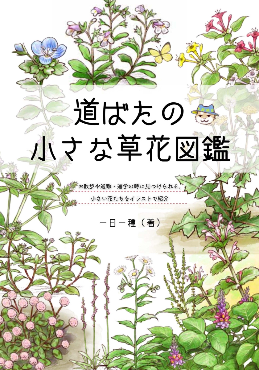 楽天ブックス 道ばたの小さな草花図鑑 一日一種 本