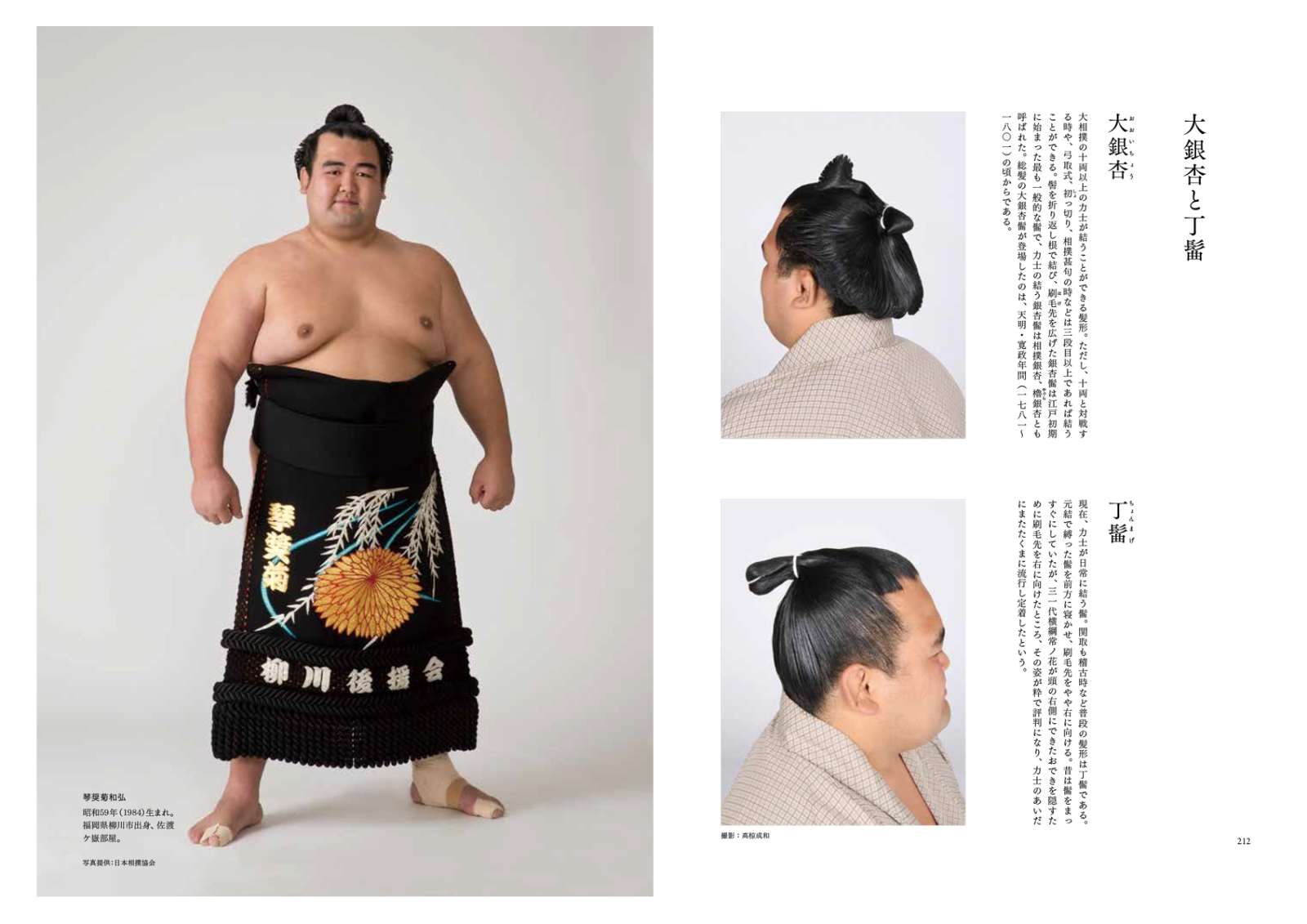 楽天ブックス 日本髪大全 古代から現代まで髪型の歴史と結い方がわかる 田中圭子 本