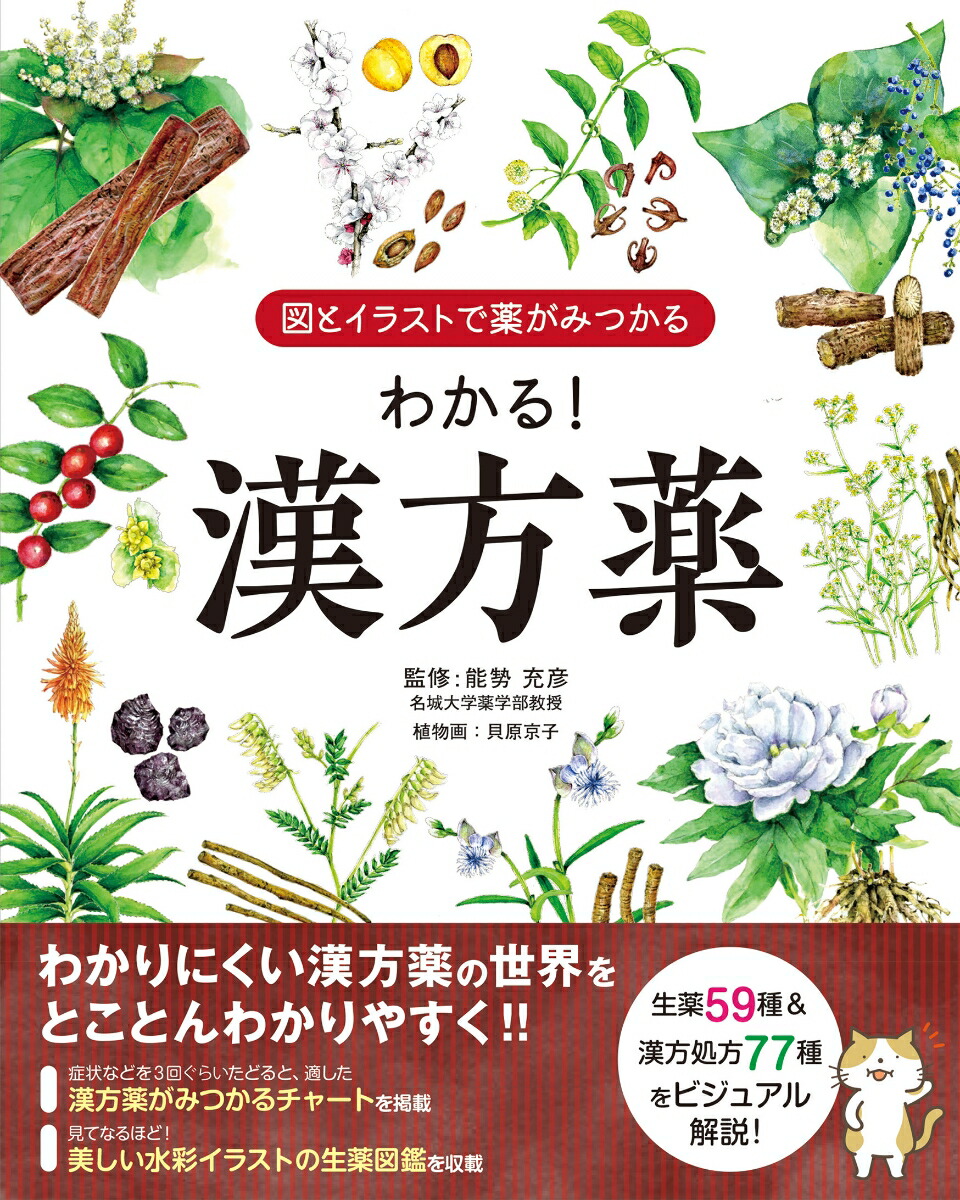 楽天市場】薬局 2023年3月増刊号 特集 「薬語図鑑：基礎薬学用語