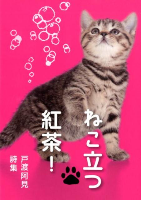 楽天ブックス ねこ立つ紅茶 戸渡阿見詩集 戸渡阿見 本