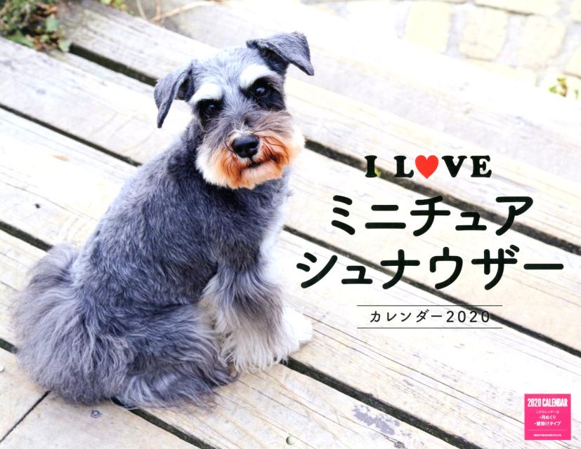 楽天ブックス I Love ミニチュアシュナウザー カレンダー 本