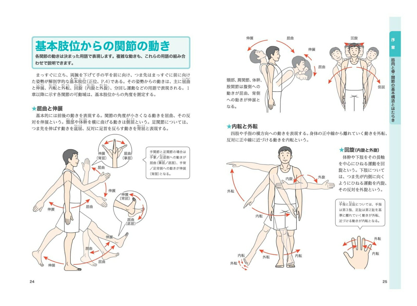 楽天ブックス 筋肉と関節しくみと動きが見える事典 運動器の超入門書 末吉勝則 9784522436448 本