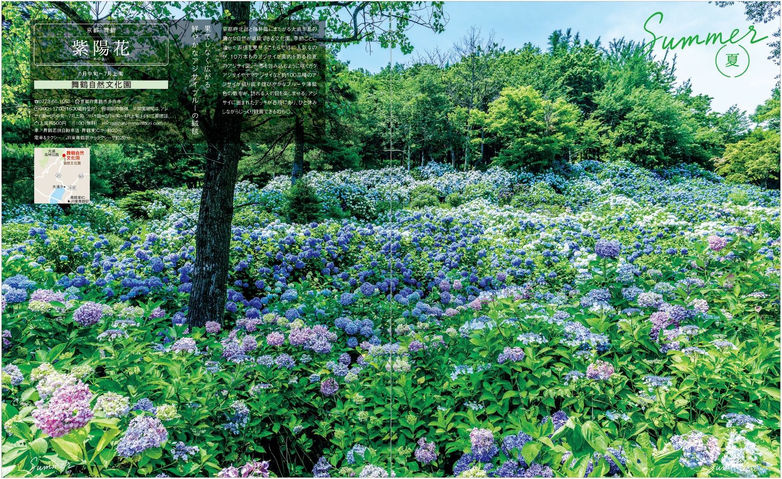 楽天ブックス 関西 花のおでかけ 本