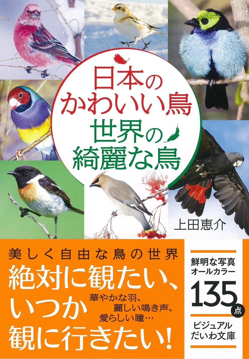 楽天ブックス 日本のかわいい鳥世界の綺麗な鳥 上田恵介 本