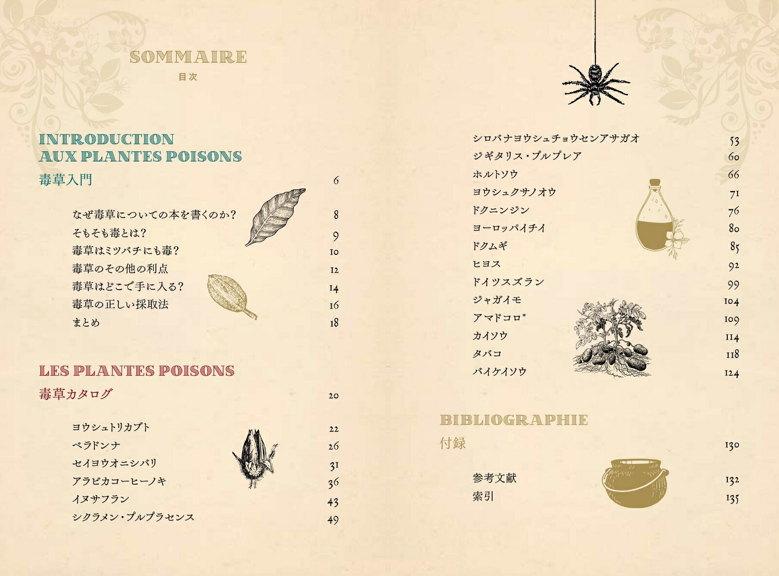 ���Ǥ������ŵ����ΰ������ݥ�����ϡ��֤������ʤҤߤĤ���ê���꡼���ҥߥĥΥۥ���ʥ��꡼����[�饹�ƥ������ǥ������]