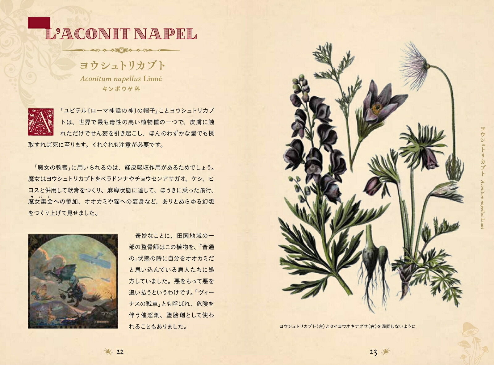 ���Ǥ������ŵ����ΰ������ݥ�����ϡ��֤������ʤҤߤĤ���ê���꡼���ҥߥĥΥۥ���ʥ��꡼����[�饹�ƥ������ǥ������]