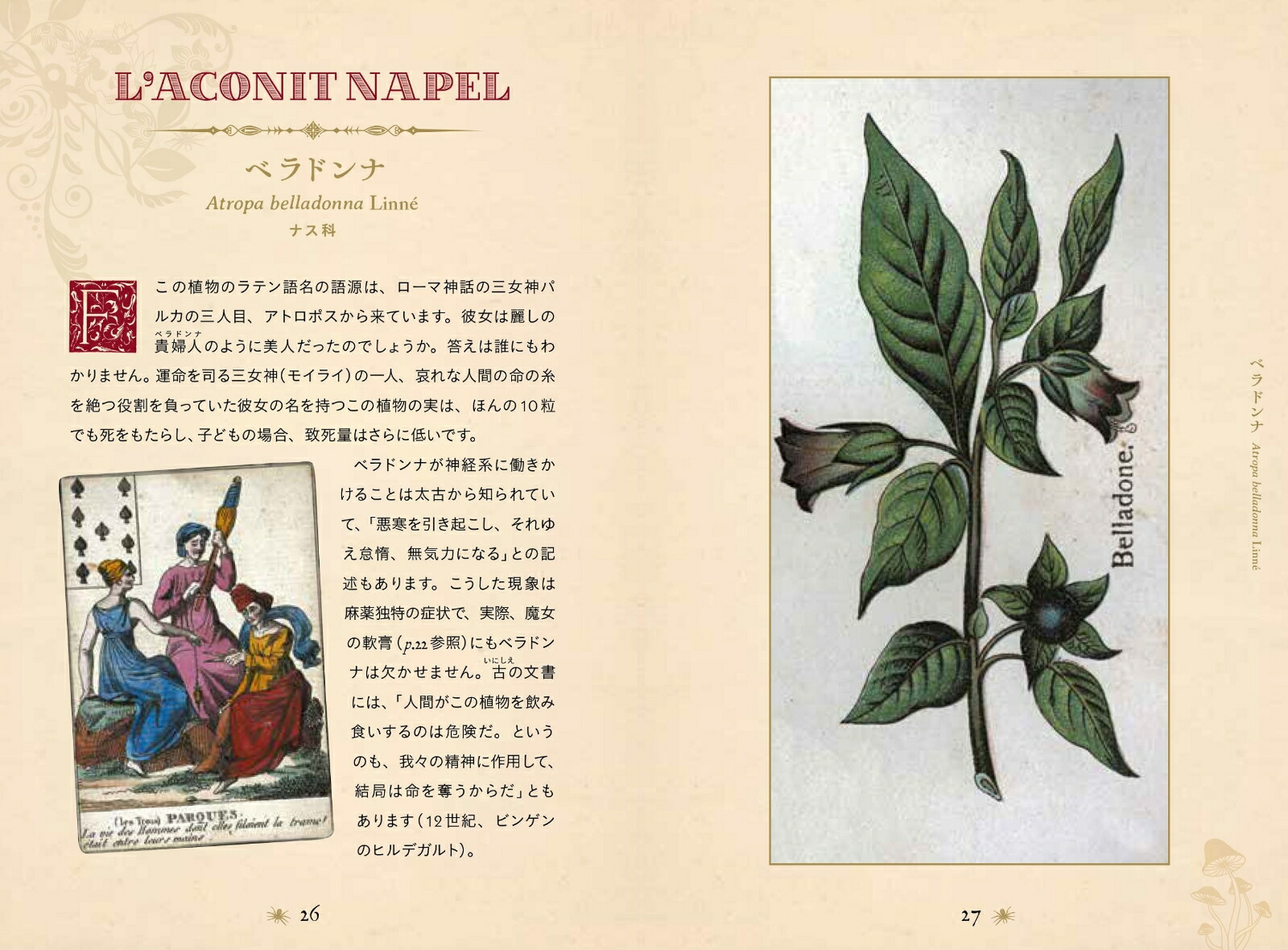 ���Ǥ������ŵ����ΰ������ݥ�����ϡ��֤������ʤҤߤĤ���ê���꡼���ҥߥĥΥۥ���ʥ��꡼����[�饹�ƥ������ǥ������]