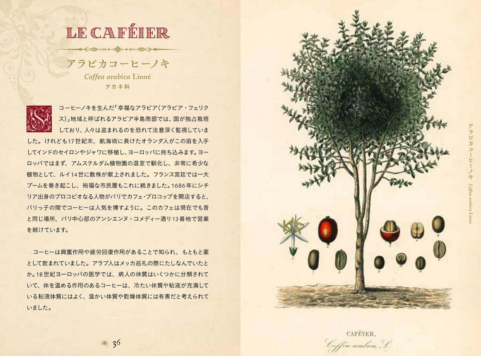 ���Ǥ������ŵ����ΰ������ݥ�����ϡ��֤������ʤҤߤĤ���ê���꡼���ҥߥĥΥۥ���ʥ��꡼����[�饹�ƥ������ǥ������]