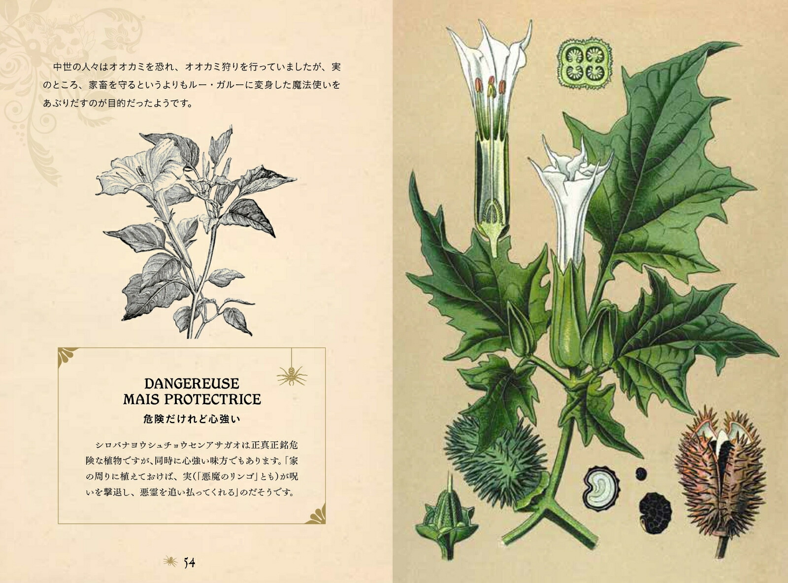 ���Ǥ������ŵ����ΰ������ݥ�����ϡ��֤������ʤҤߤĤ���ê���꡼���ҥߥĥΥۥ���ʥ��꡼����[�饹�ƥ������ǥ������]