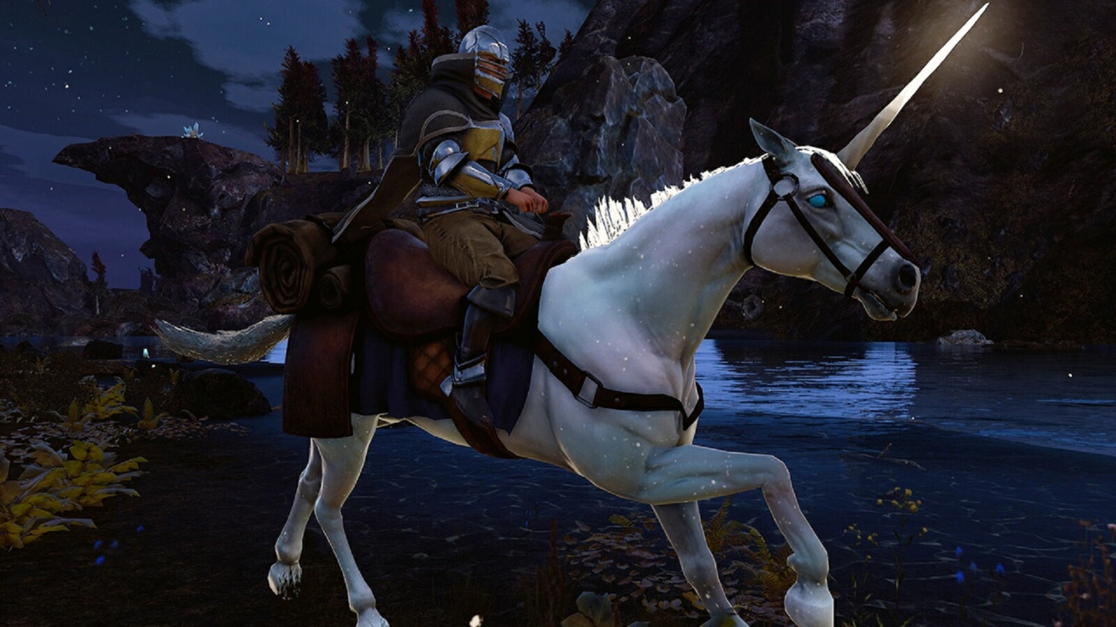 �����ǥ롧�ʱ����ˡ�ȸŤξ��