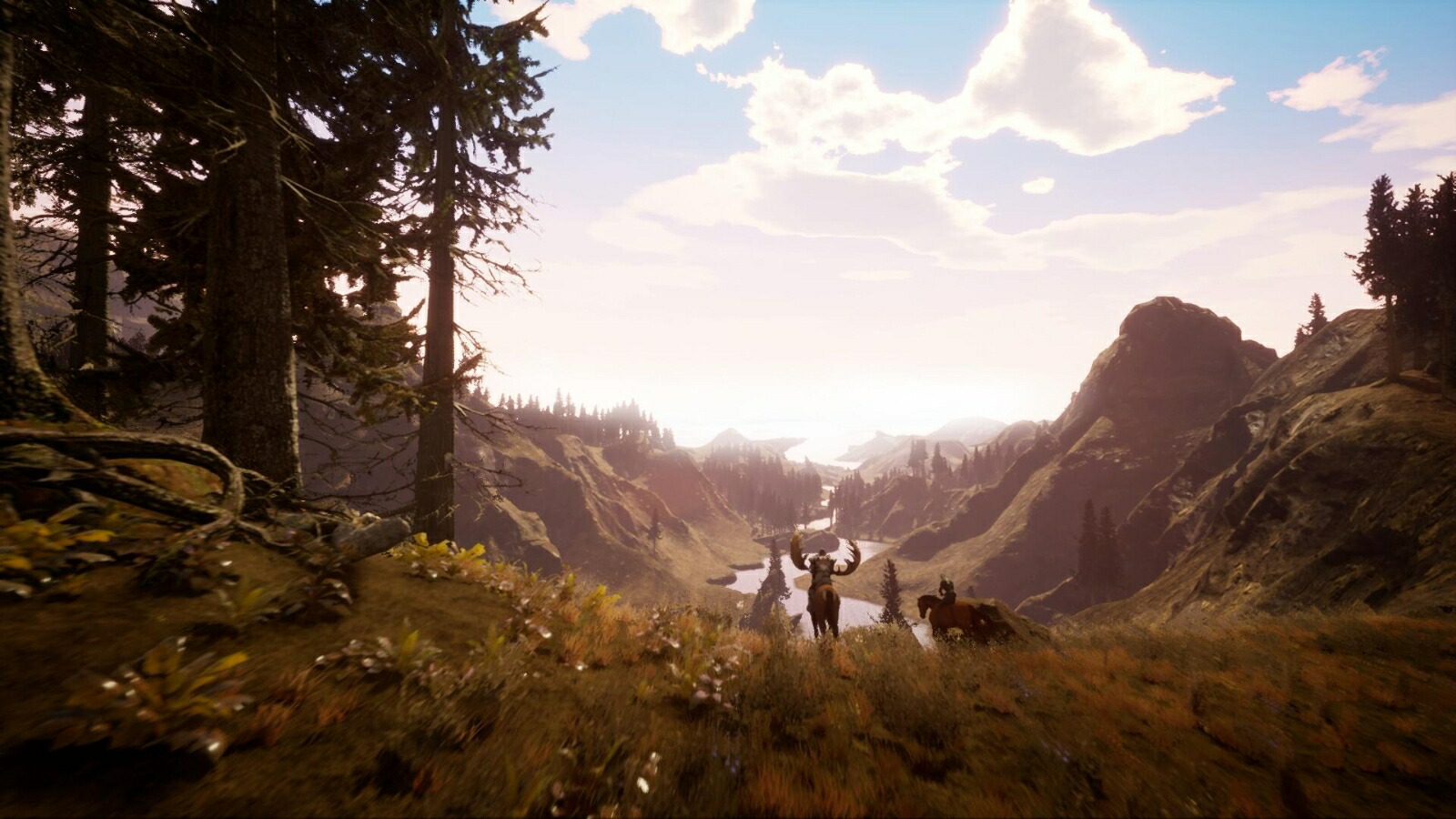 �����ǥ롧�ʱ����ˡ�ȸŤξ��