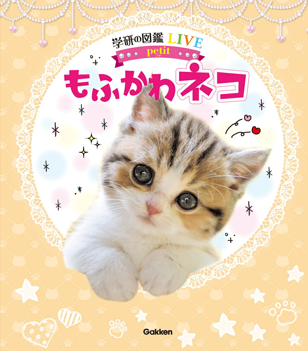 もふかわネコ（学研の図鑑LIVEpetit）[山本宗伸]