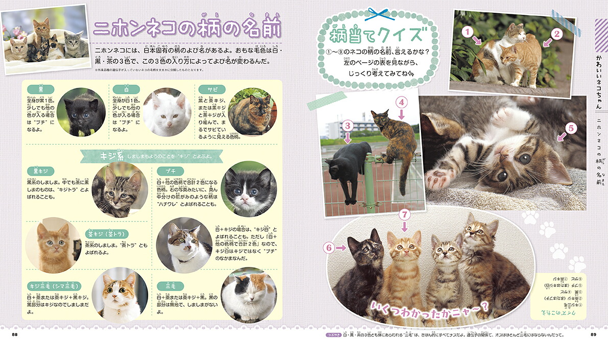 もふかわネコ（学研の図鑑LIVEpetit）[山本宗伸]