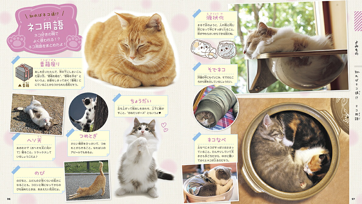 もふかわネコ（学研の図鑑LIVEpetit）[山本宗伸]