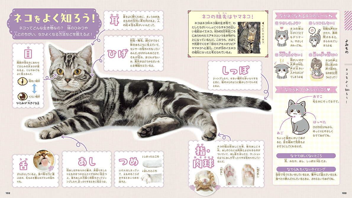 もふかわネコ（学研の図鑑LIVEpetit）[山本宗伸]