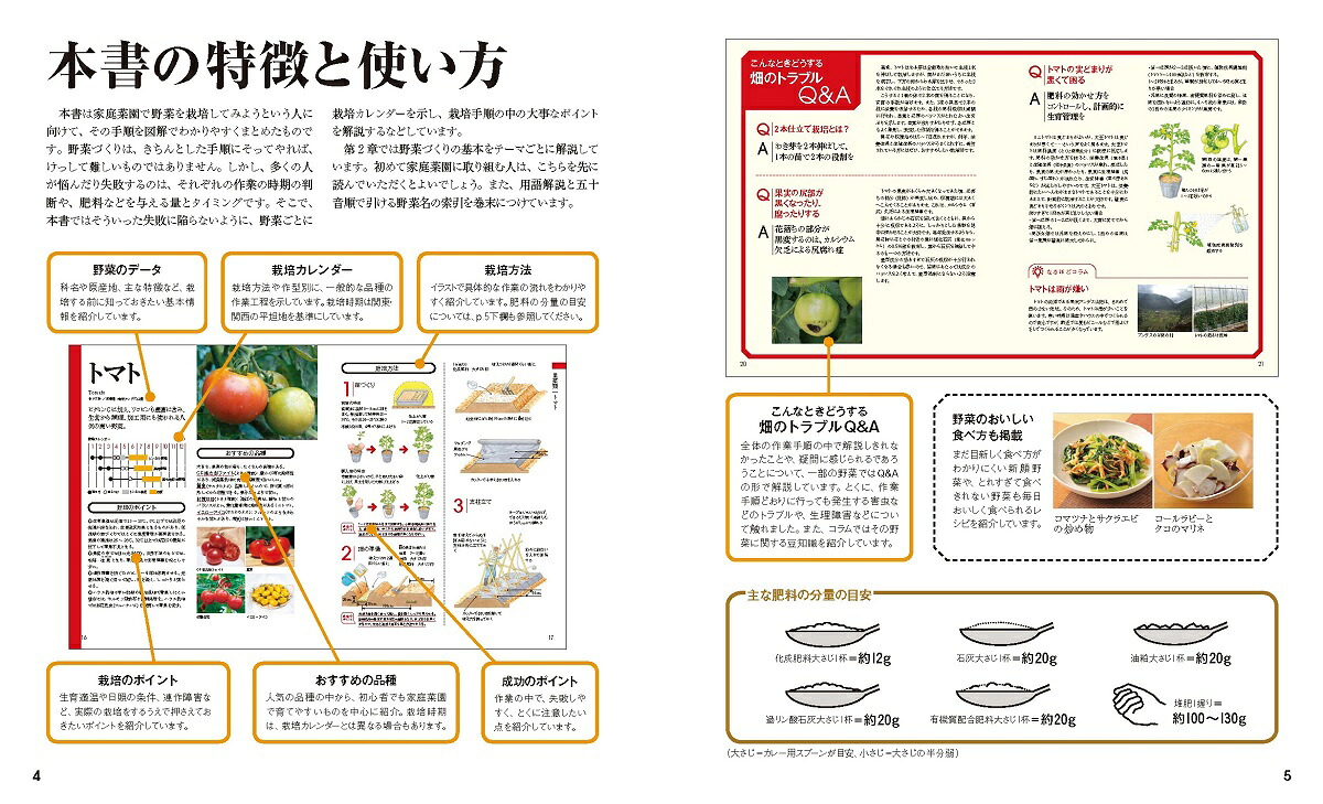 決定版野菜づくり大百科[板木利隆]