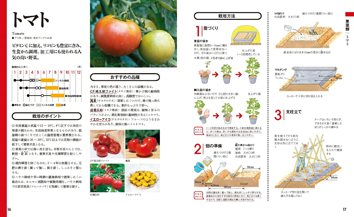 決定版野菜づくり大百科[板木利隆]