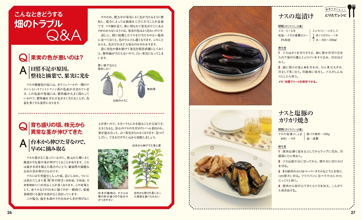 決定版野菜づくり大百科[板木利隆]