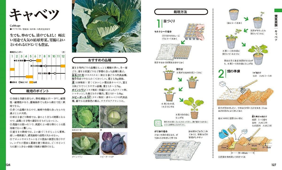 決定版野菜づくり大百科[板木利隆]