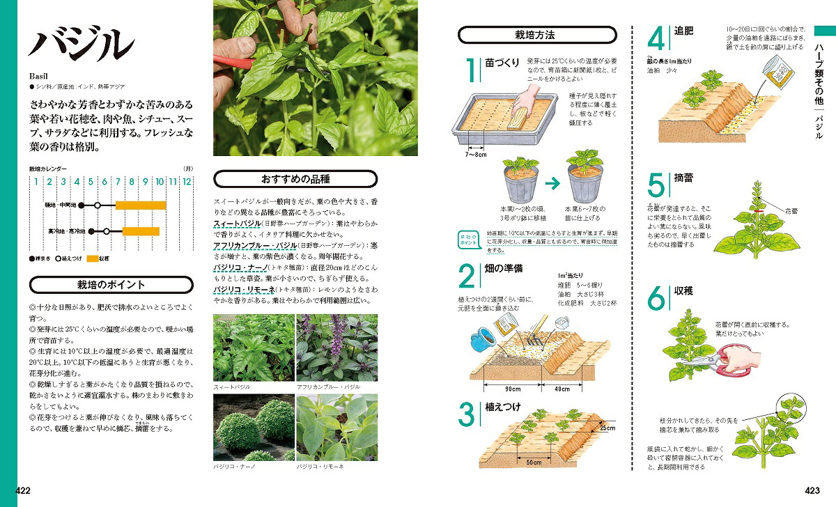 決定版野菜づくり大百科[板木利隆]