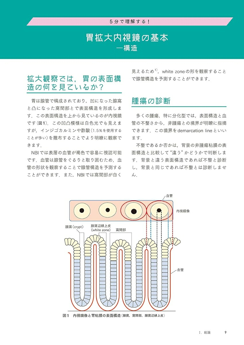 百症例式胃の拡大内視鏡×病理対比アトラス[拡大内視鏡×病理対比診断研究会アトラス作成委員会]
