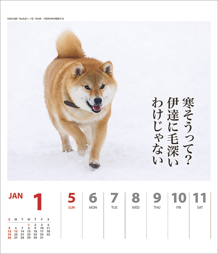 楽天ブックス 犬川柳 週めくり 年1月始まりカレンダー 本