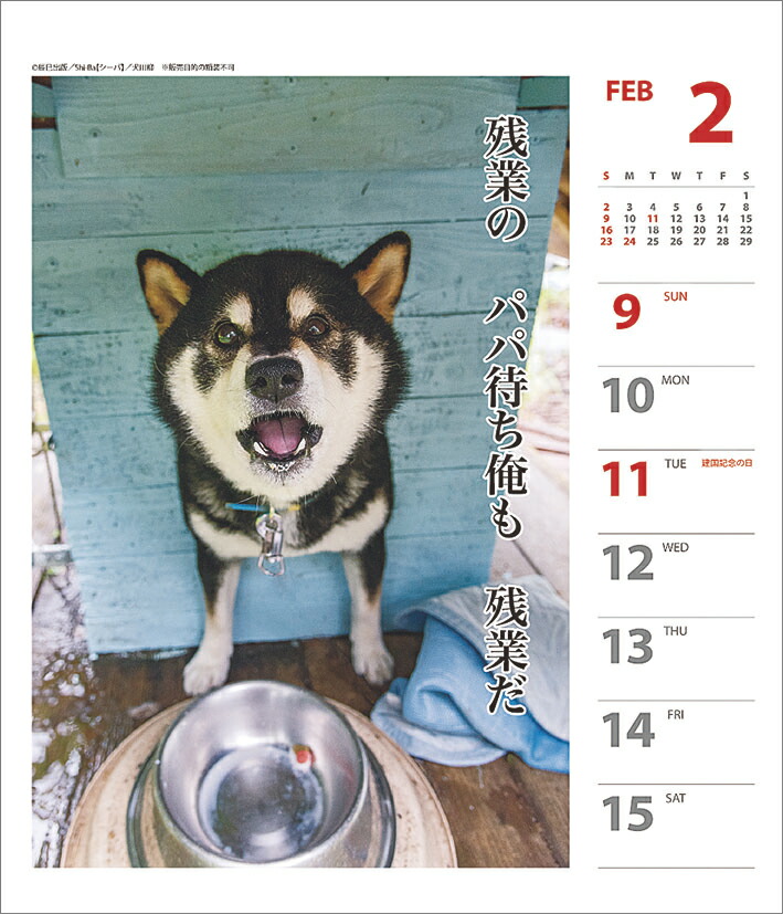 楽天ブックス 犬川柳 週めくり 年1月始まりカレンダー 本