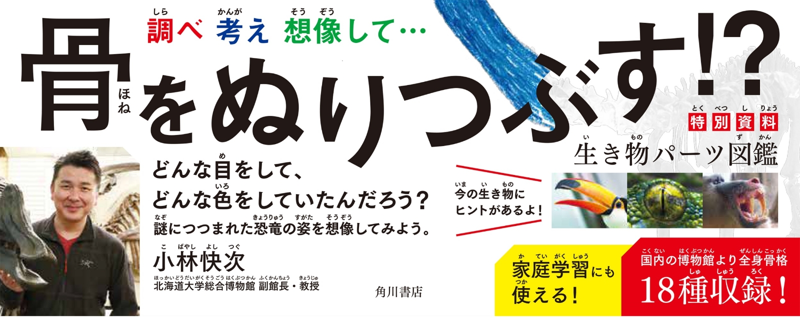 楽天ブックス 恐竜 骨ぬりえ 岡田 善敬 本