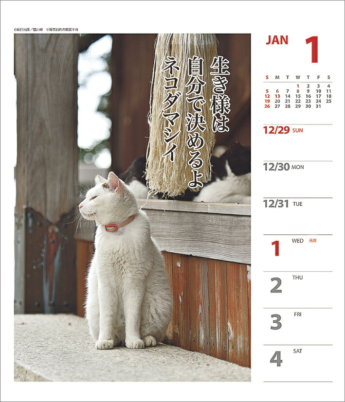 楽天ブックス 猫川柳 週めくり 年1月始まりカレンダー 本