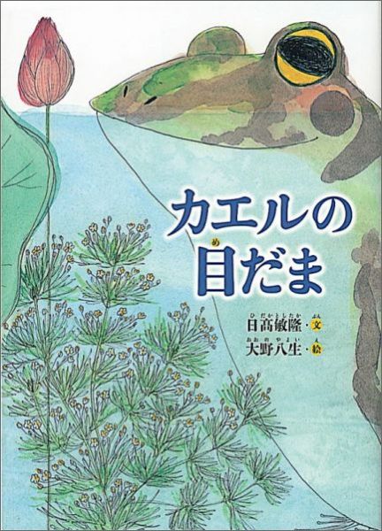 楽天ブックス カエルの目だま 日高敏隆 本