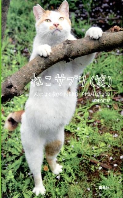 ͤץҾС:ͤˤ褯NEKO-PHOTO202[LOVECAT37]