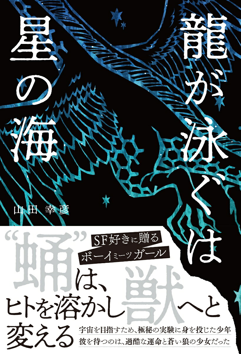 龍が泳ぐは星の海[山田幸彦]