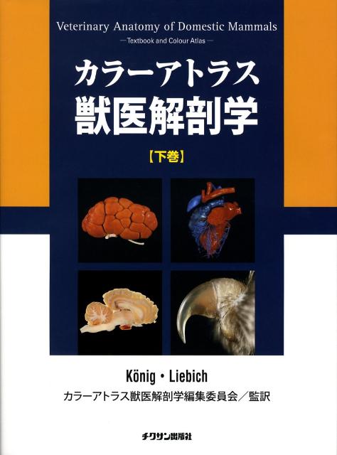 新入荷 流行 カラーアトラス獣医解剖学 上巻 下巻 ecousarecycling.com