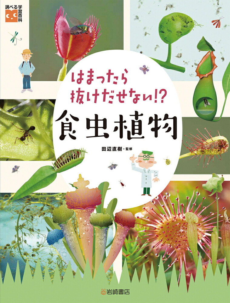 楽天ブックス: はまったら抜けだせない！？ 食虫植物 - 田辺直樹