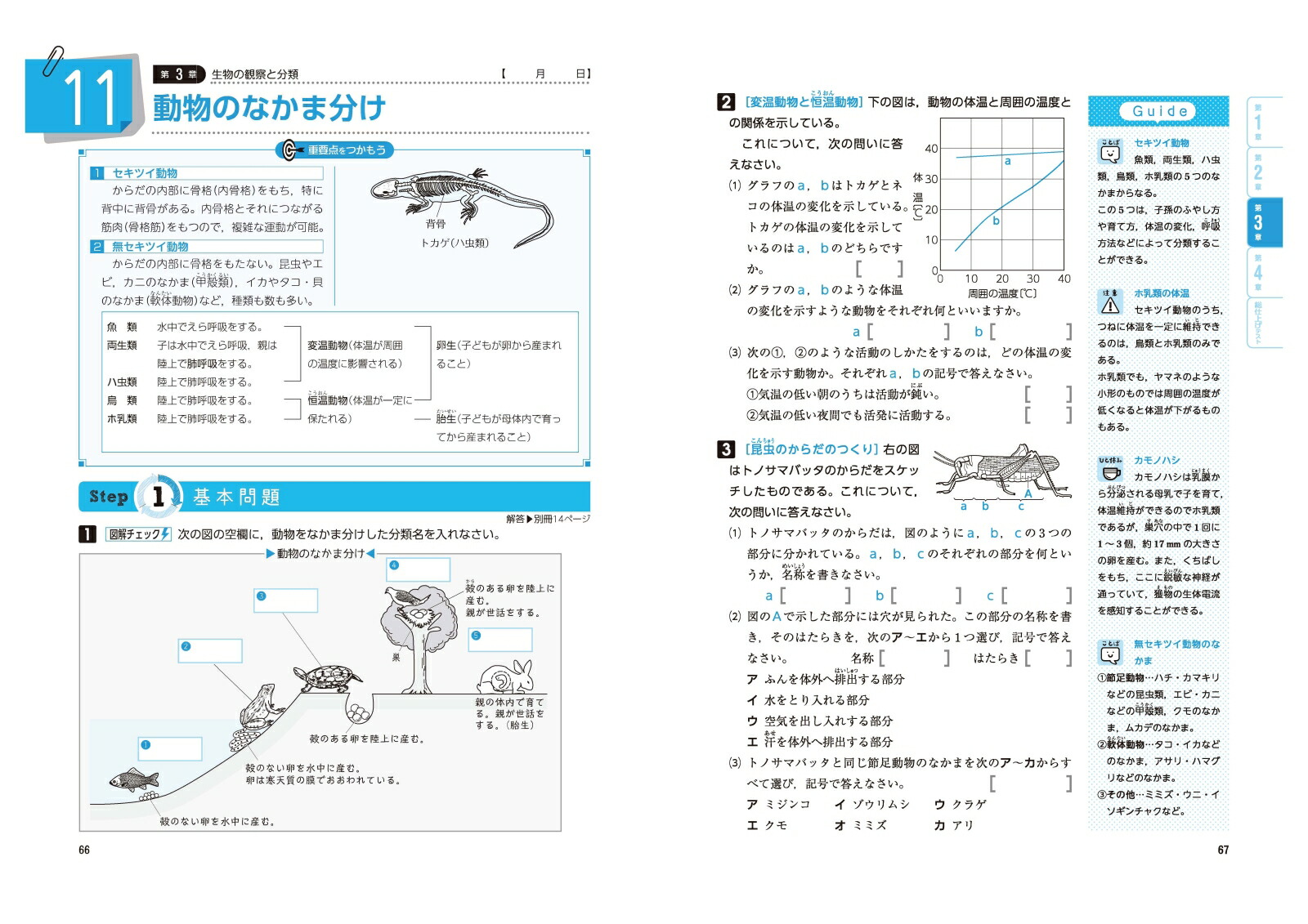 楽天ブックス 中1 標準問題集 理科 中学教育研究会 本