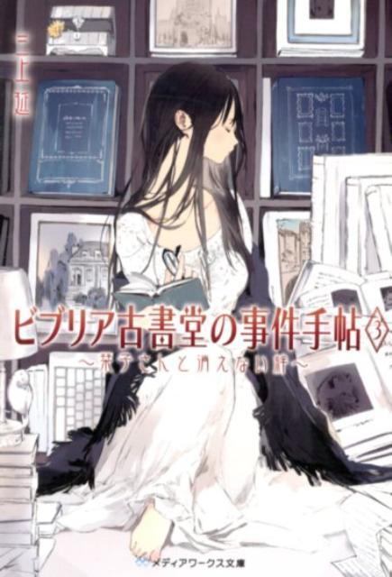 ӥ֥ꥢŽƲλġ3ٻҤȾäʤ嫏ʥǥʸˡ[]