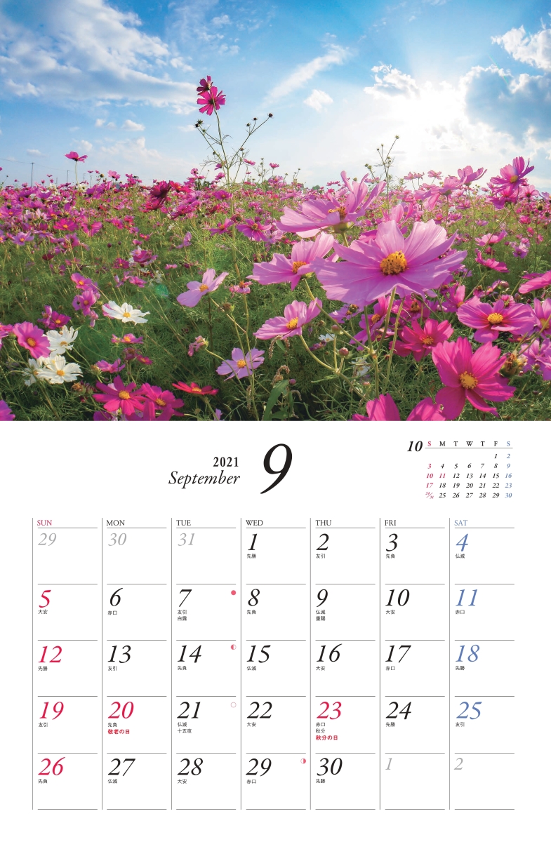 楽天ブックス 心に残る癒やしの花風景カレンダー 21 本
