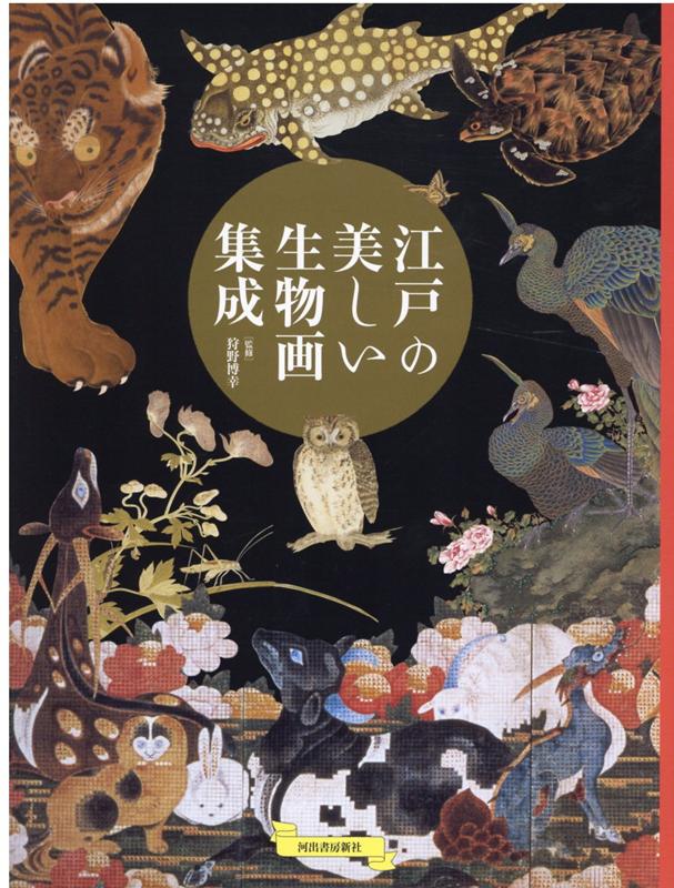 楽天ブックス 江戸の美しい生物画集成 狩野 博幸 本 楽天ブックス 江戸の美しい生物画集成 狩野 博幸 本