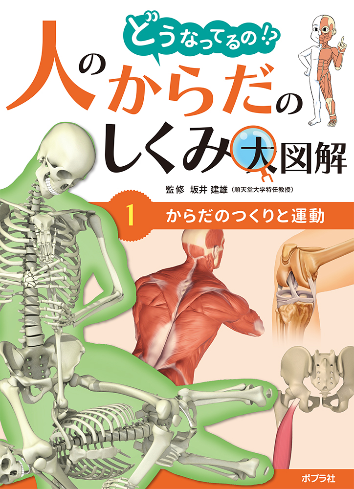 楽天ブックス: からだのつくりと運動 - 坂井 建雄 - 9784591176597 : 本