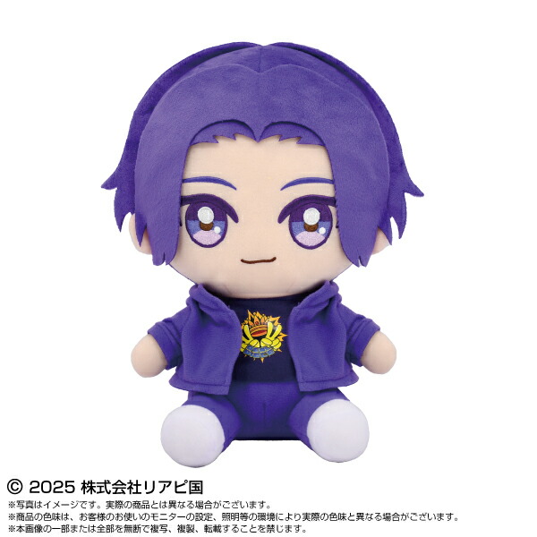 楽天市場】【2025年11月発売予約商品！】 リアルピースChibiぬいBIG